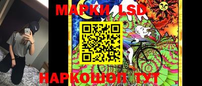 кокс Донской